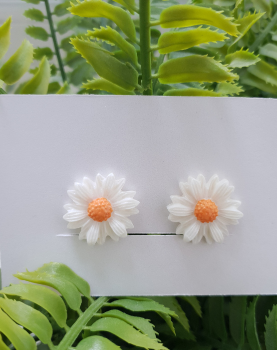 Ausu klipši &quot;Margrietiņas&quot;